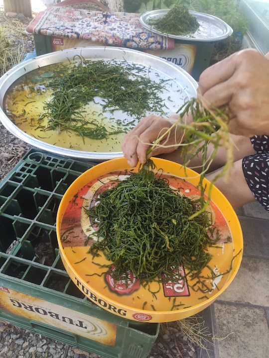 Fotoğraf 36