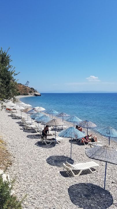 Yorum fotoğrafı 2