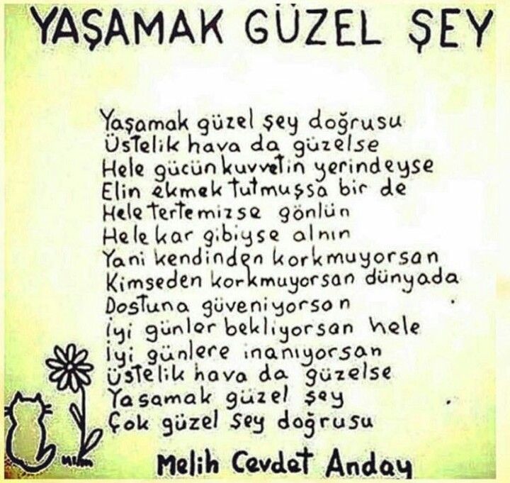 Fotoğraf 15