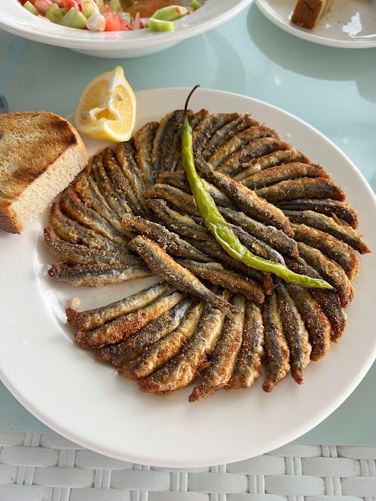Yorum fotoğrafı 1