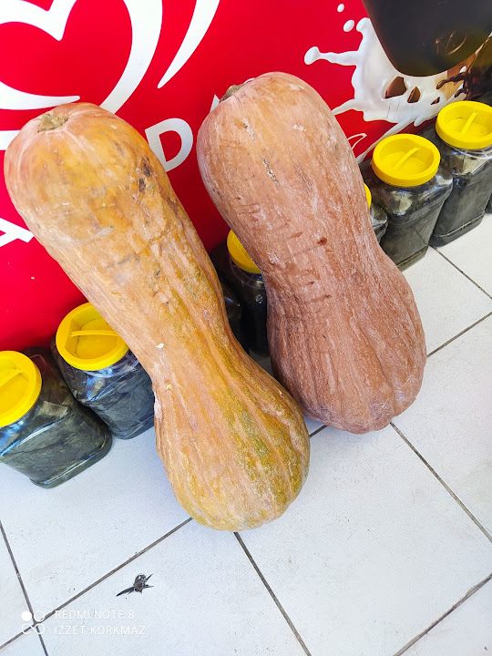 Fotoğraf 22
