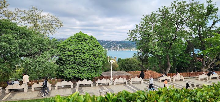 Fotoğraf 35