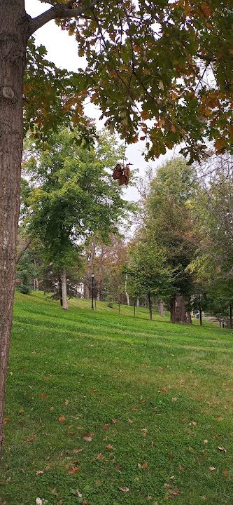 Fotoğraf 18