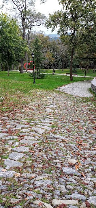 Fotoğraf 19
