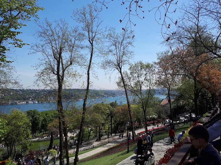 Fotoğraf 65