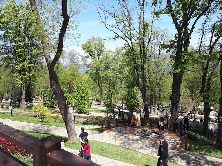 Fotoğraf 66