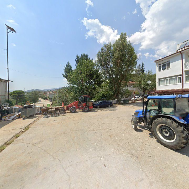 Fotoğraf 6