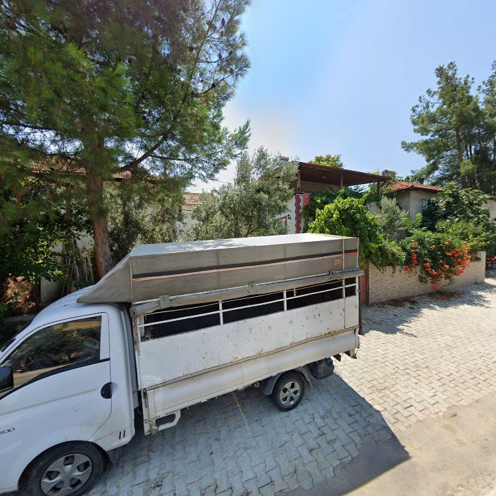 Fotoğraf 4
