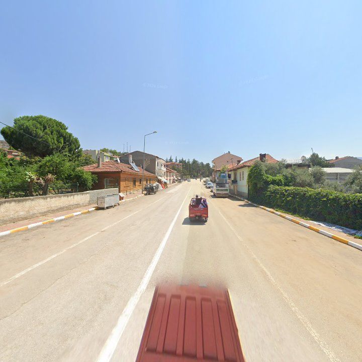 Fotoğraf 6
