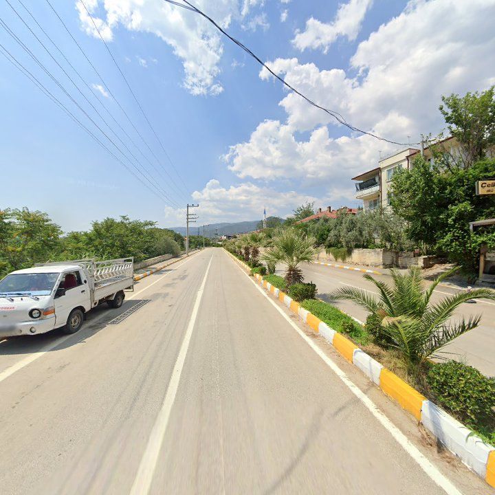 Fotoğraf 11