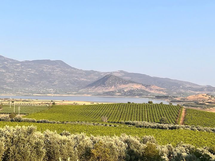 Avşar Sarıgöl'den