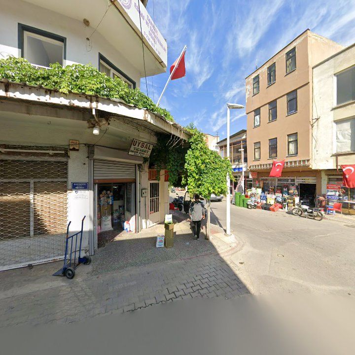 Fotoğraf 6