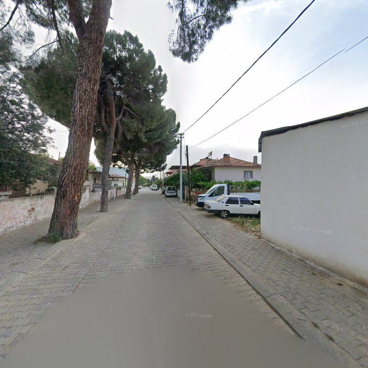 Fotoğraf 11