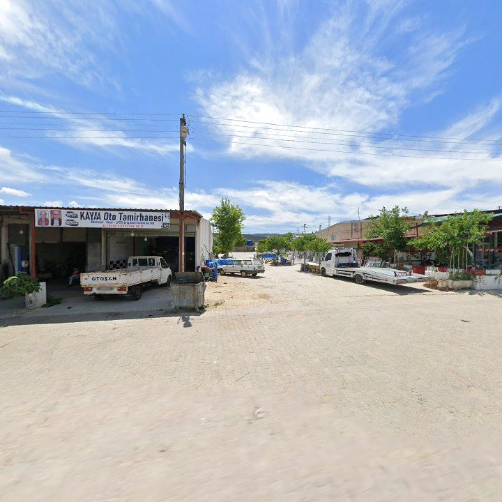Fotoğraf 3
