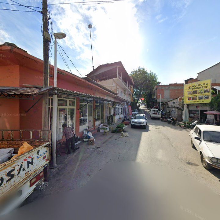 Fotoğraf 9