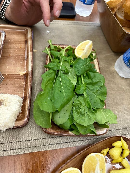 Fotoğraf 42
