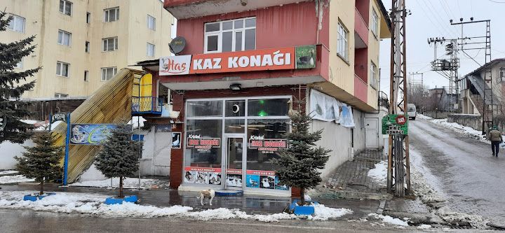 Kristal Kaz Konağı