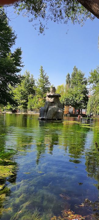 Yorum fotoğrafı 3
