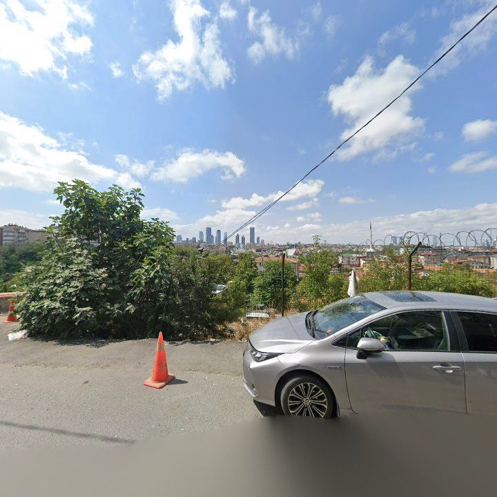 Fotoğraf 10