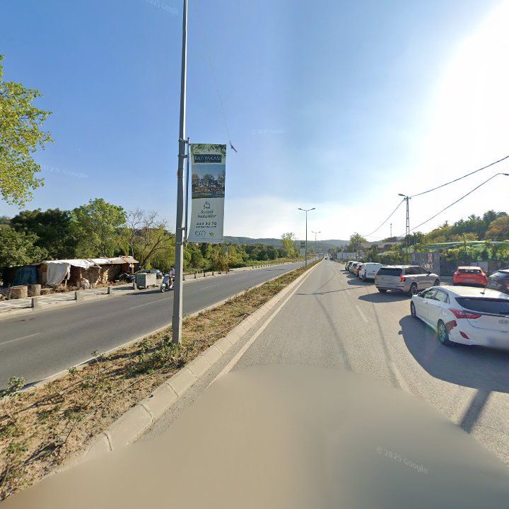 Fotoğraf 10