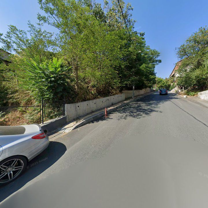 Fotoğraf 15