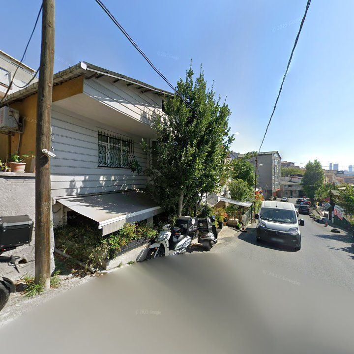 Fotoğraf 13