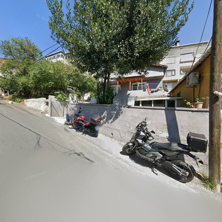 Fotoğraf 16