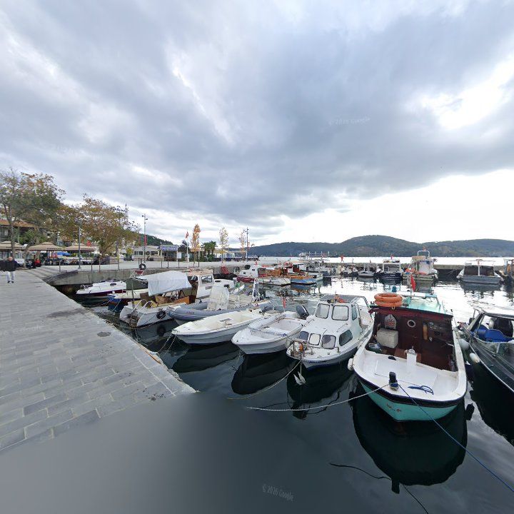 Fotoğraf 11