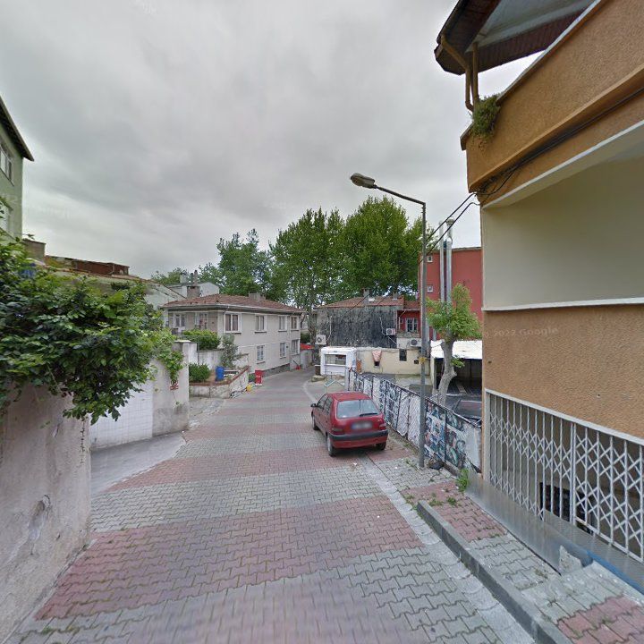 Fotoğraf 8