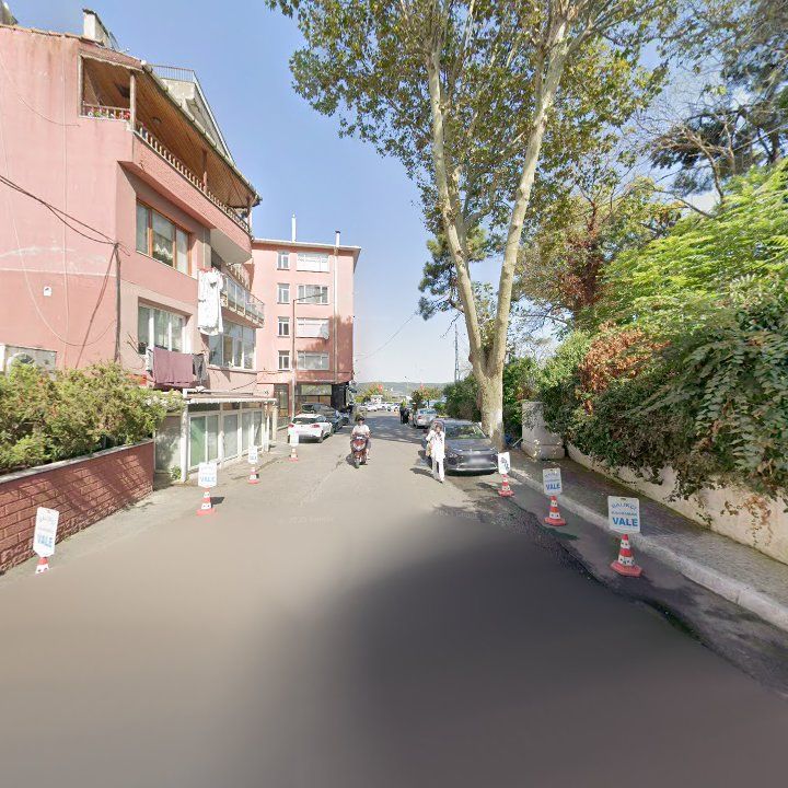 Fotoğraf 15