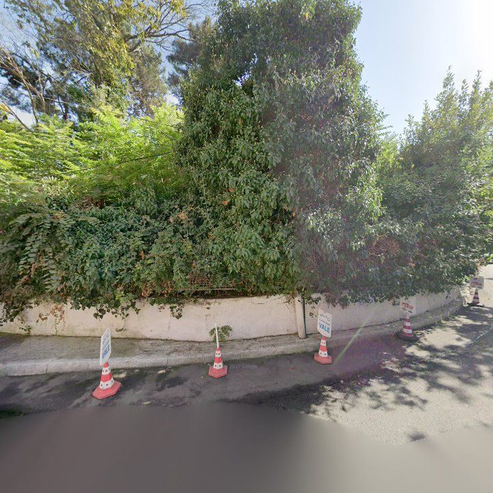 Fotoğraf 16