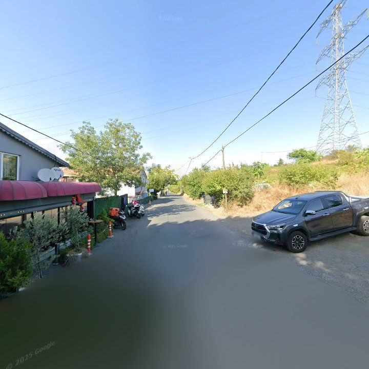 Fotoğraf 10