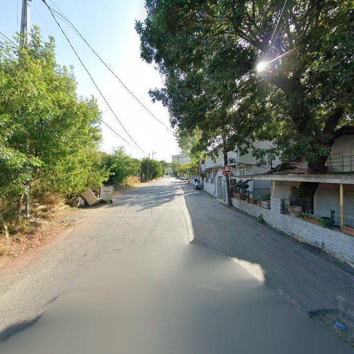 Fotoğraf 12