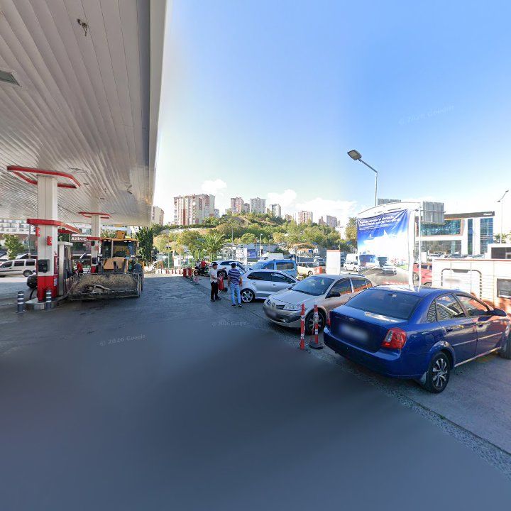 Fotoğraf 10