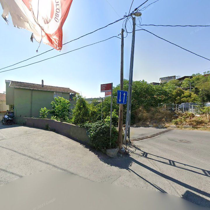 Fotoğraf 8