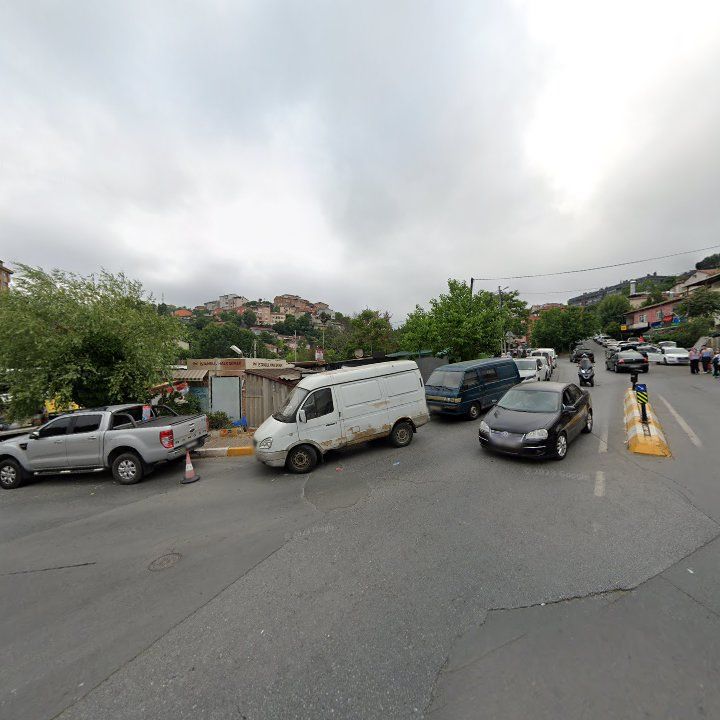 Fotoğraf 8