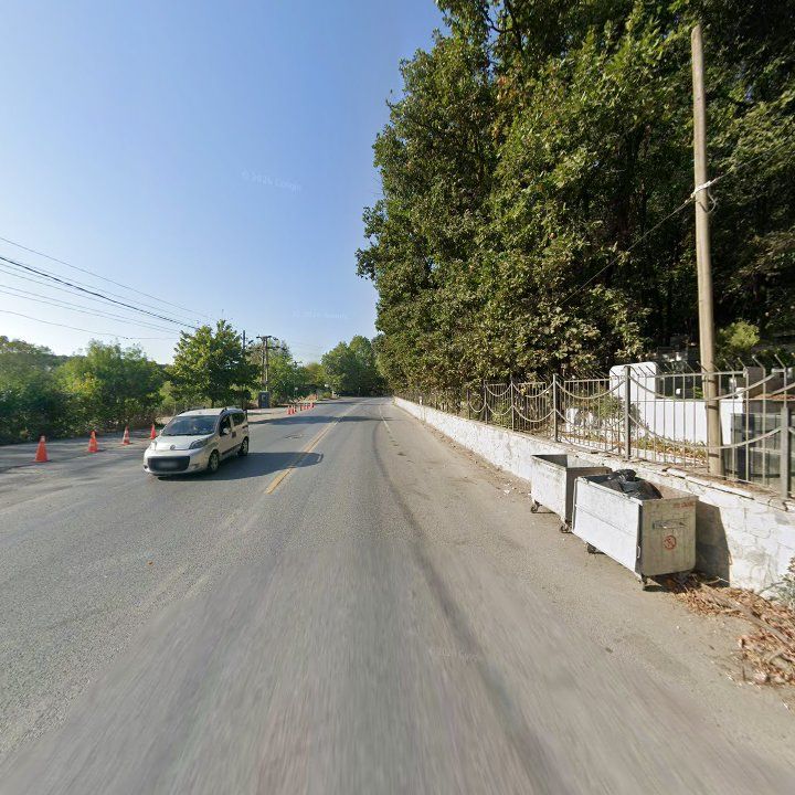 Fotoğraf 12