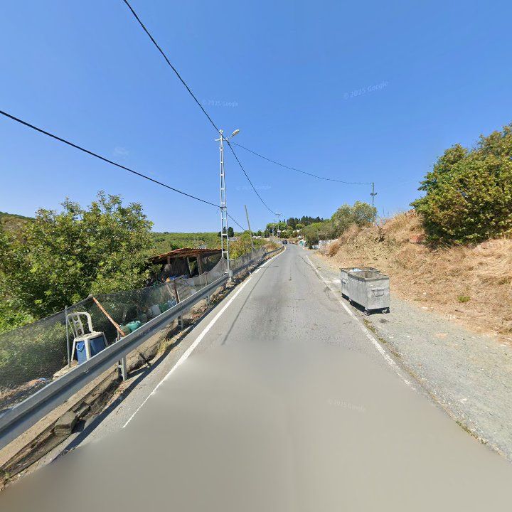 Fotoğraf 12
