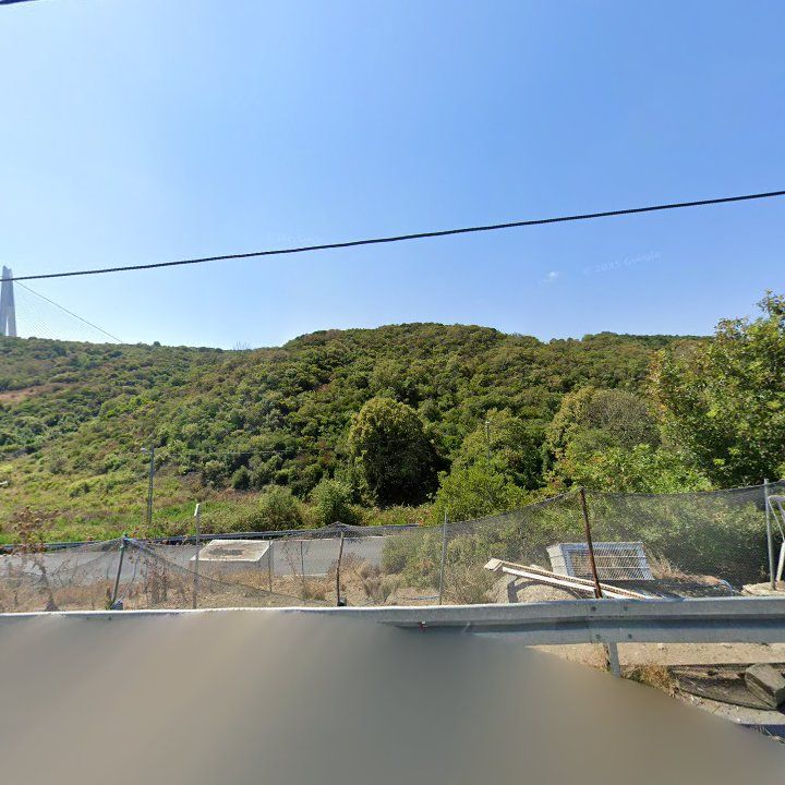Fotoğraf 11