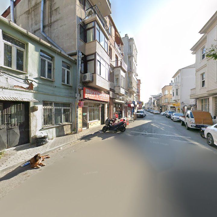 Fotoğraf 10