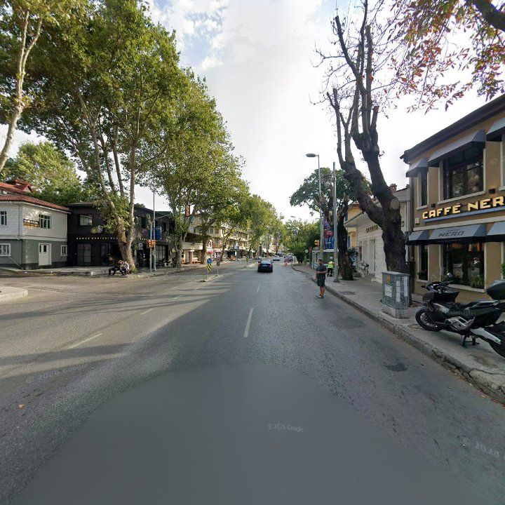 Fotoğraf 10