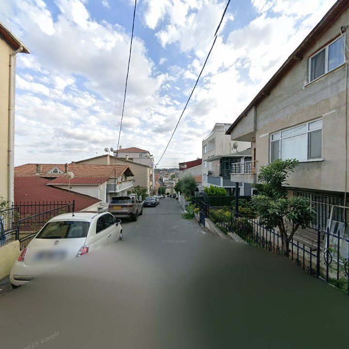 Fotoğraf 10
