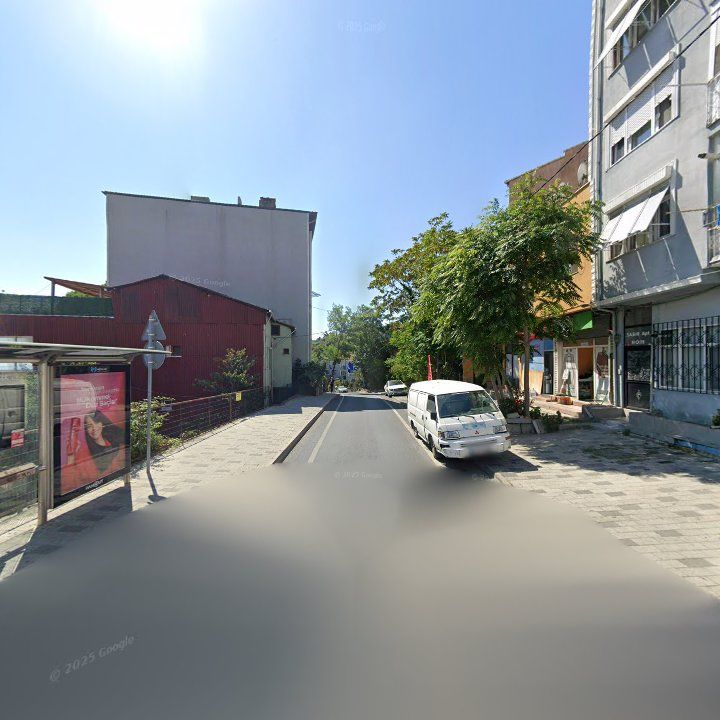Fotoğraf 12