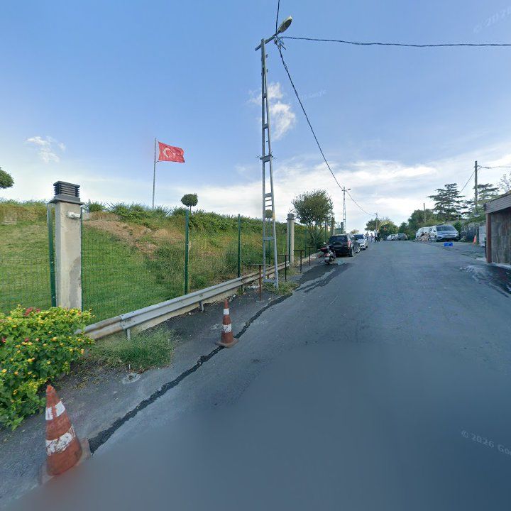 Fotoğraf 8
