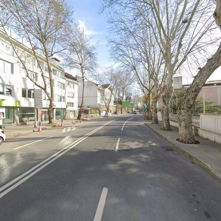 Fotoğraf 13