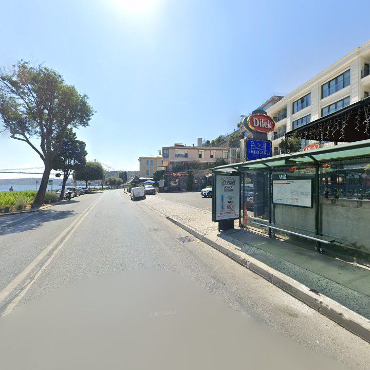 Fotoğraf 15