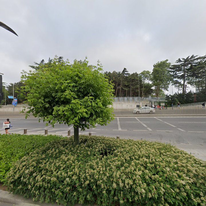 Fotoğraf 12