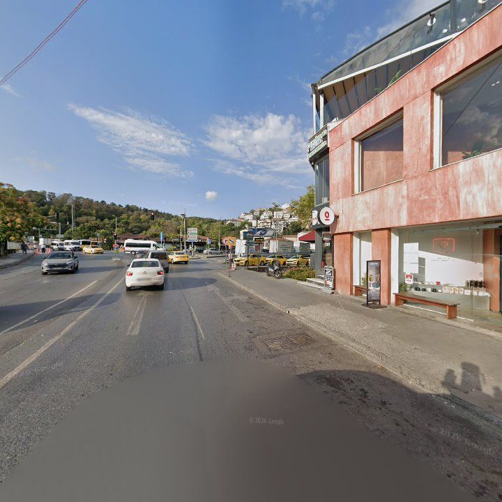 Fotoğraf 11