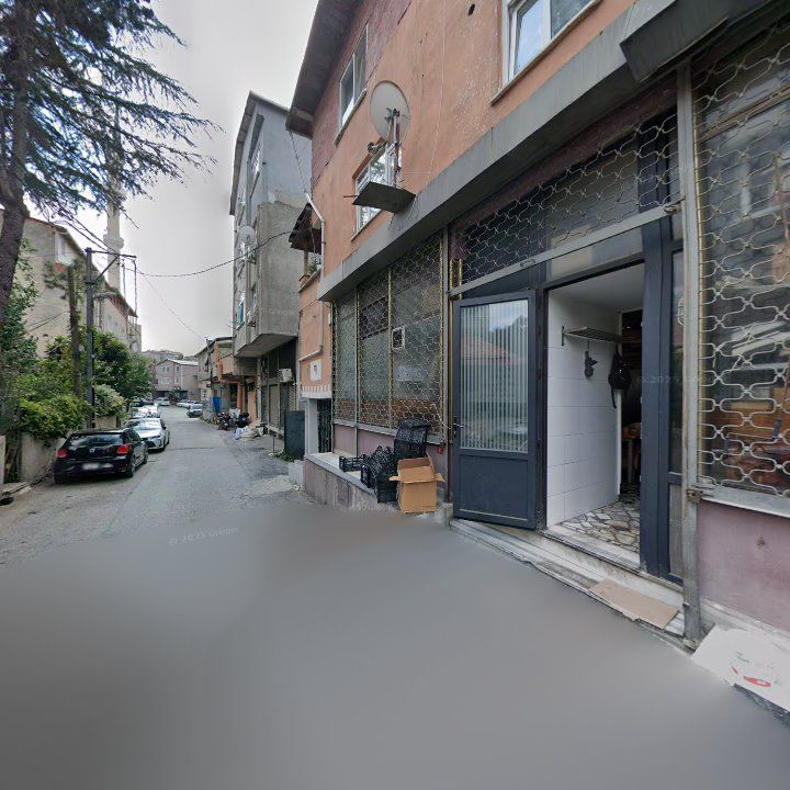 Fotoğraf 11