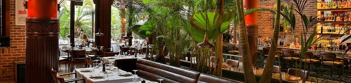Fenix İstanbul
